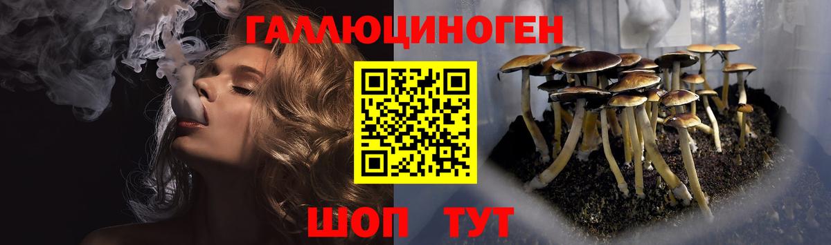 Галлюциногенные грибы прущие грибы  Вход с VPN  Пермь 