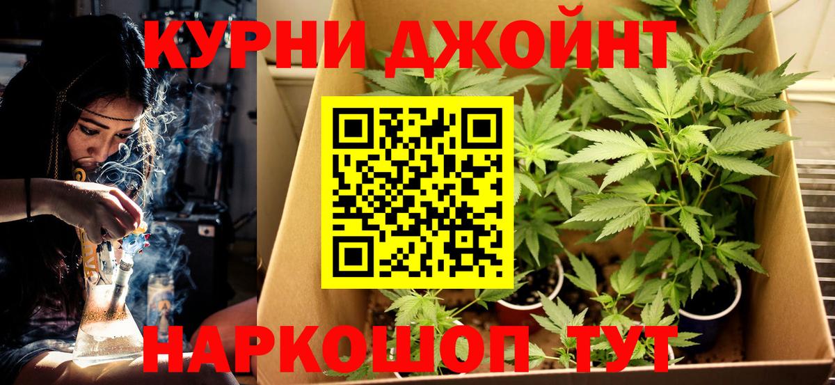 Канабис семена  МАРИХУАНА Bruce Banner  Вход с VPN  Конопля семена  Пермь 